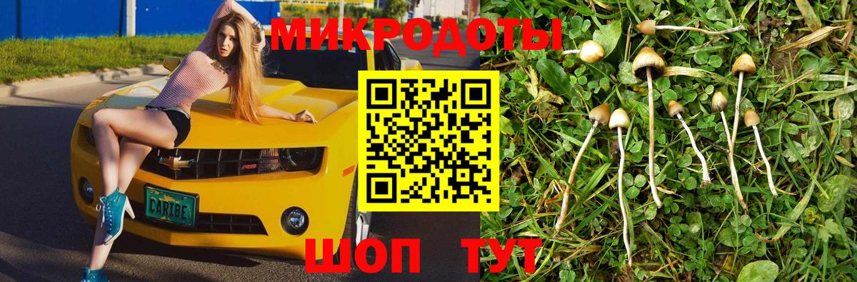 цена   Галлюциногенные грибы Cubensis  Алушта  Вход с VPN  Галлюциногенные грибы прущие грибы 